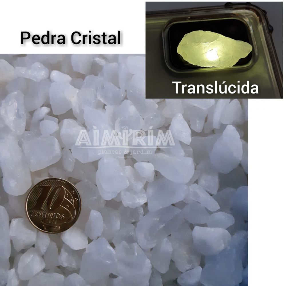 Pedra Cristal Translúcida cobertura de vasos ornamentais - 5 kg  Imagem 2