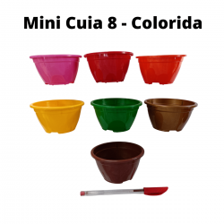 Mini Cuias Coloridas Vasos Pequenos Cuia 8 Suculentas 35 Und